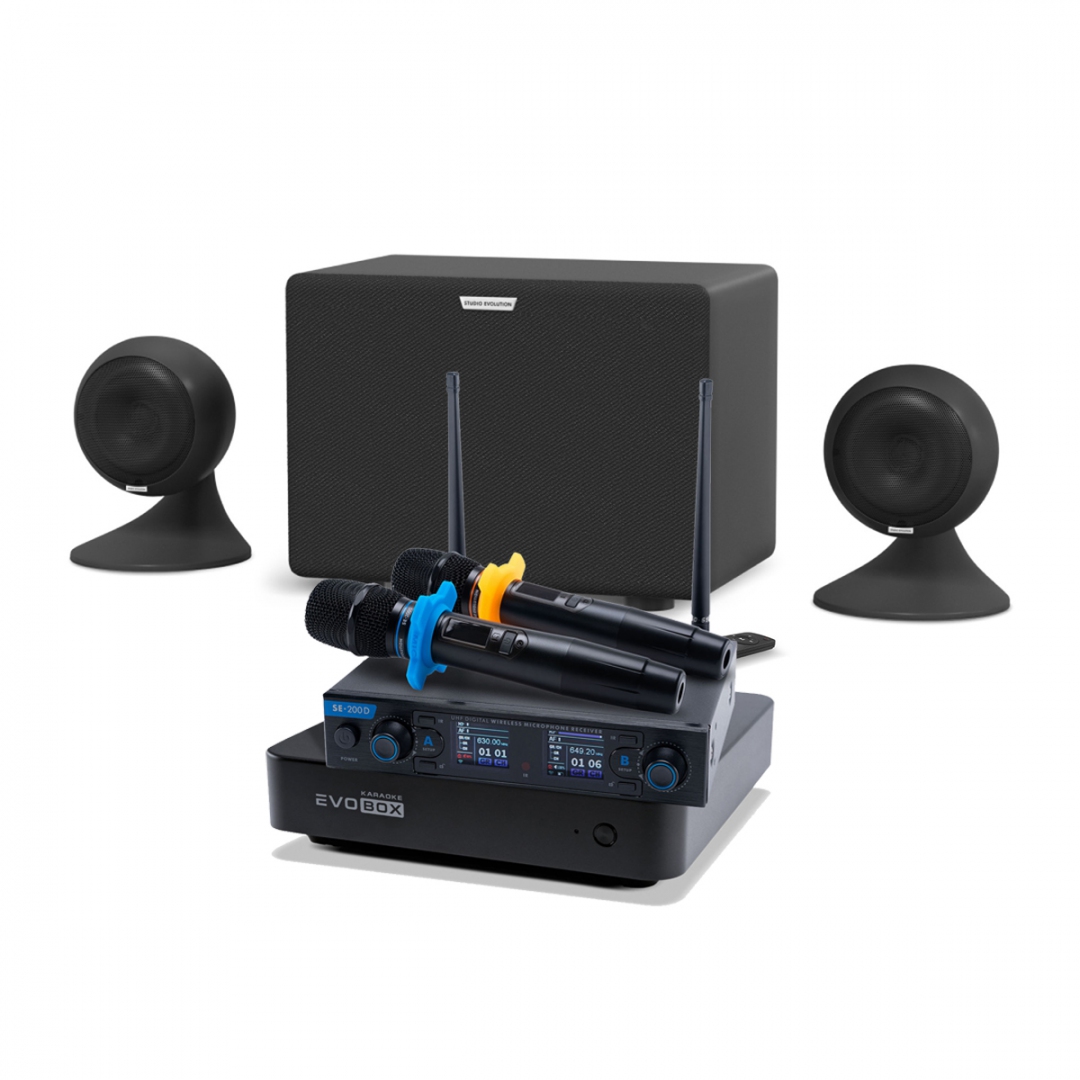 караоке-комплект EVOBOX + EvoSound Sphere 2.1 в Ржеве