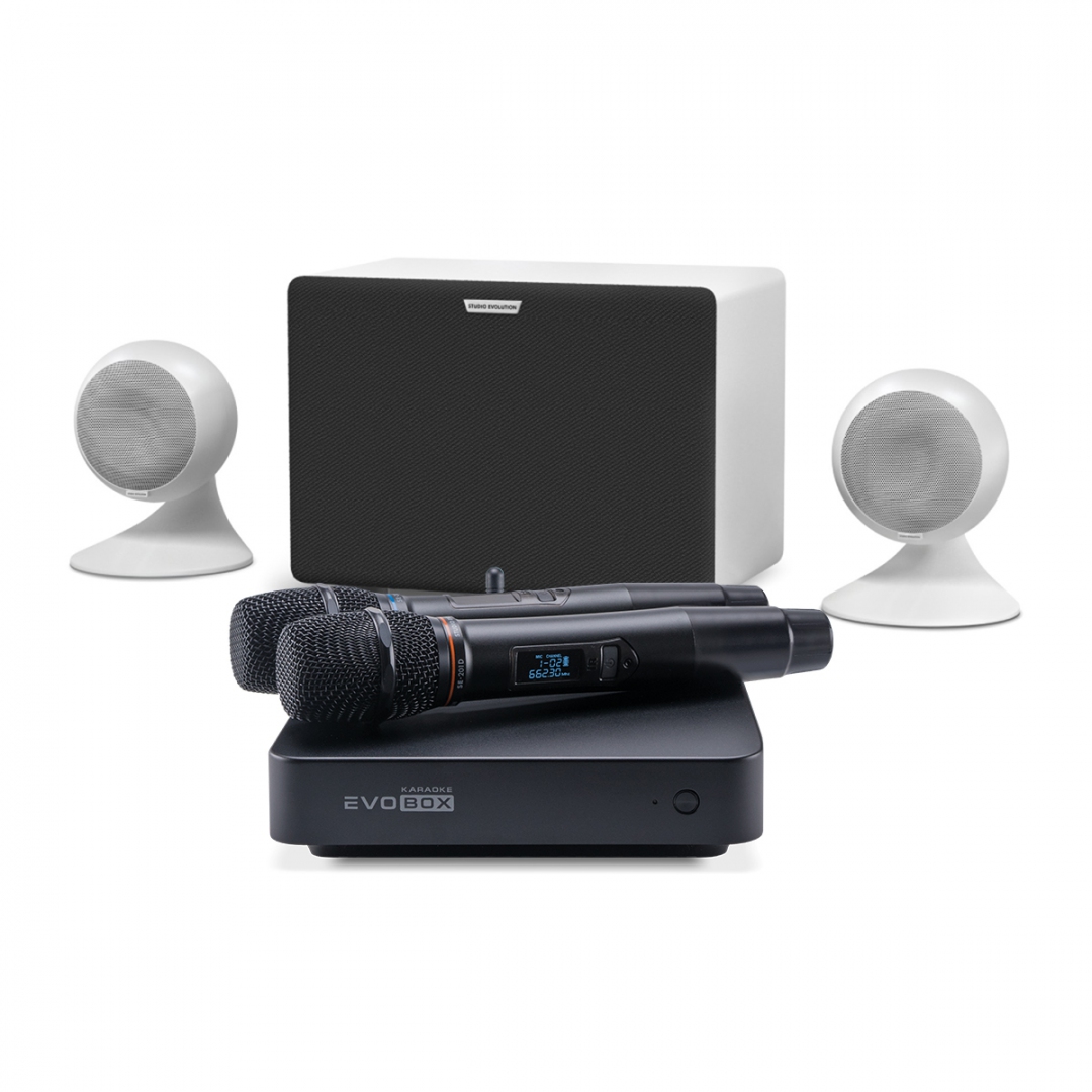караоке-комплект EVOBOX Classic + EvoSound Sphere 2.1 в Ржеве