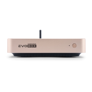 EVOBOX Classic караоке-система для дома в Ржеве