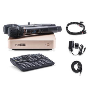 EVOBOX Classic караоке-система для дома в Ржеве