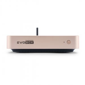 EVOBOX Plus караоке-система для дома в Ржеве