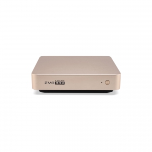 EVOBOX с микрофонами в Ржеве